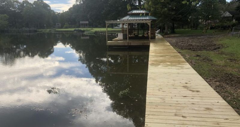 Zydeco Construction can Make A Beach-Like Swimming Pond in Your Backyard 