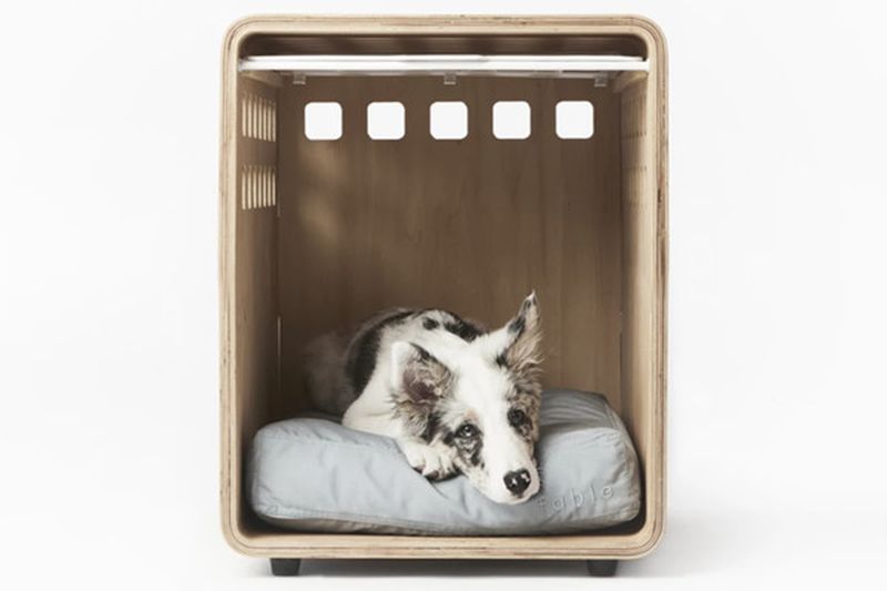 Stylish Dog Crate from Fable for Your Pooch
