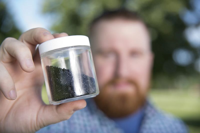 Biodegradable plastic pot can be planted along with the flora