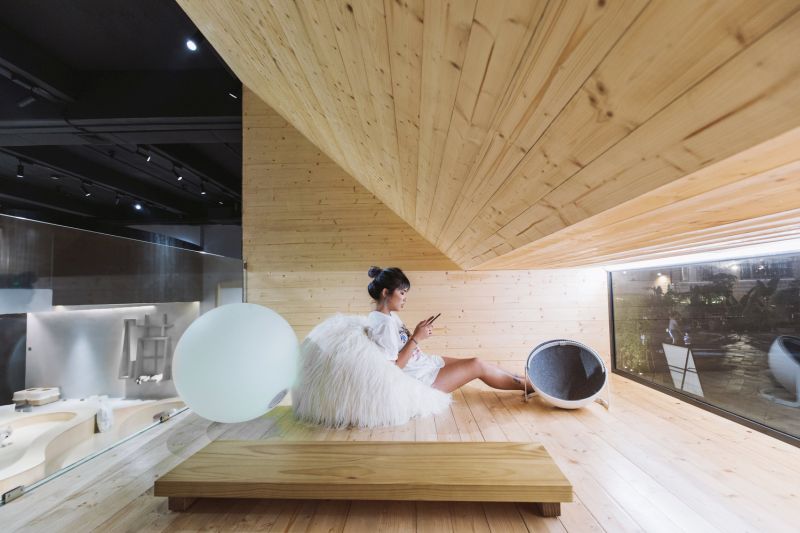 Cat Café in China Shares Space for Humans and Cats Alike