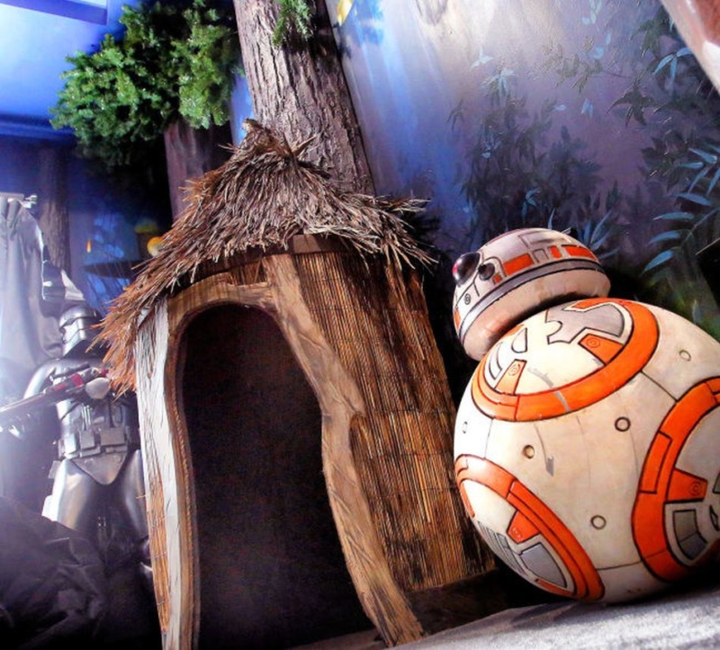 Disney’s Star Wars Theme Park Inspired Rentals in Florida to add Movie Themes