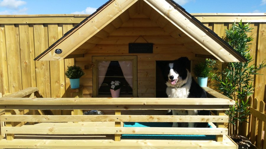 David Connolly Wooden Dog house for Maya