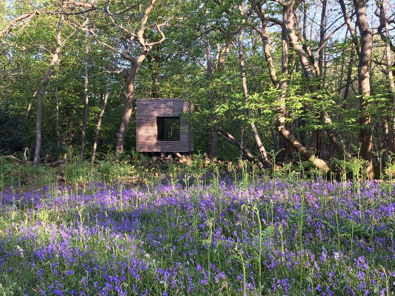 Jeremy Pitts Builds Treehouse on Stilts in East Sussex, UK 