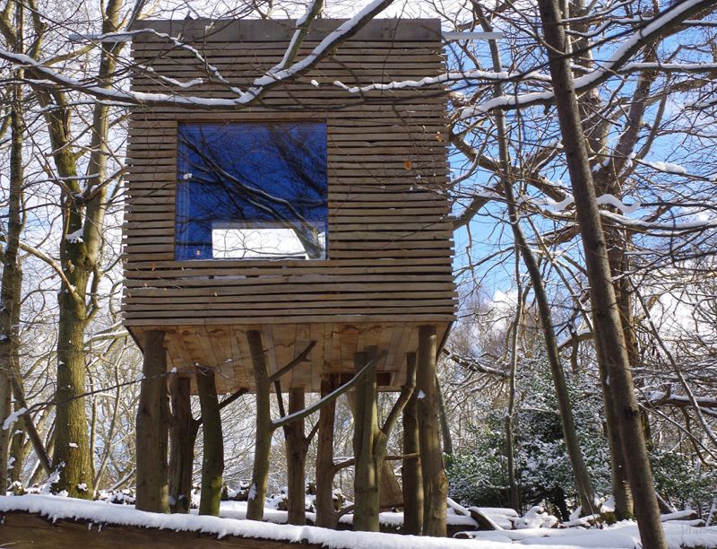 Jeremy Pitts Builds Treehouse on Stilts in East Sussex, UK 