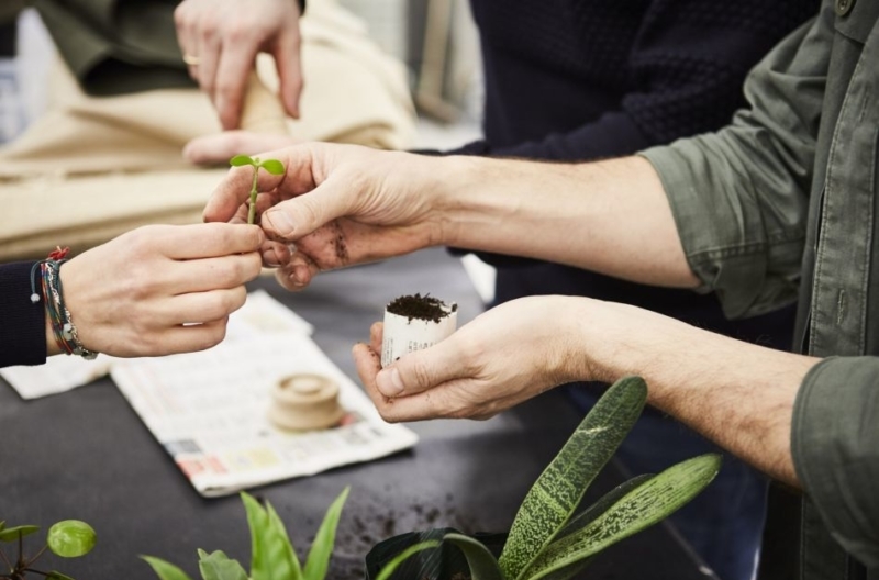 IKEA Botanisk is Collection of Sustainable Indoor Planters and Pots