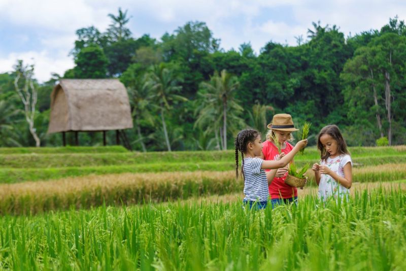 Mandapa Camp in Bali, Indonesia is Specially Designed for Children 