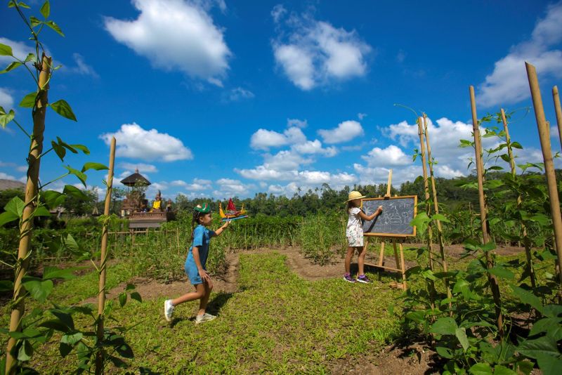 Mandapa Camp in Bali, Indonesia is Specially Designed for Children 