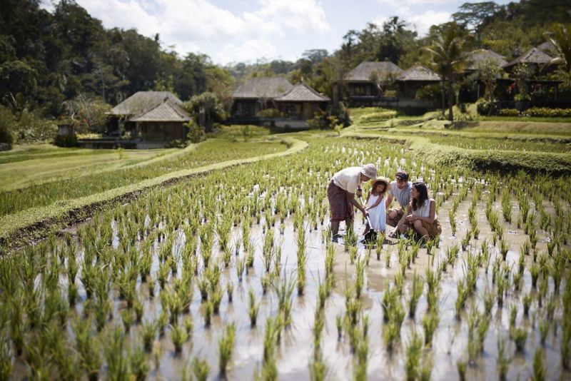 Mandapa Camp in Bali, Indonesia is Specially Designed for Children 