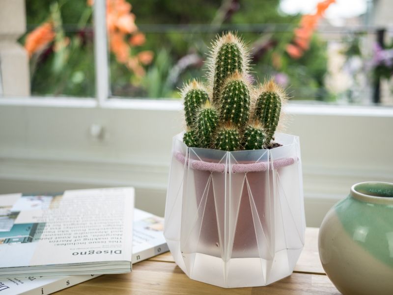 POTR Self-Watering Plant Pots Fit into an Envelope