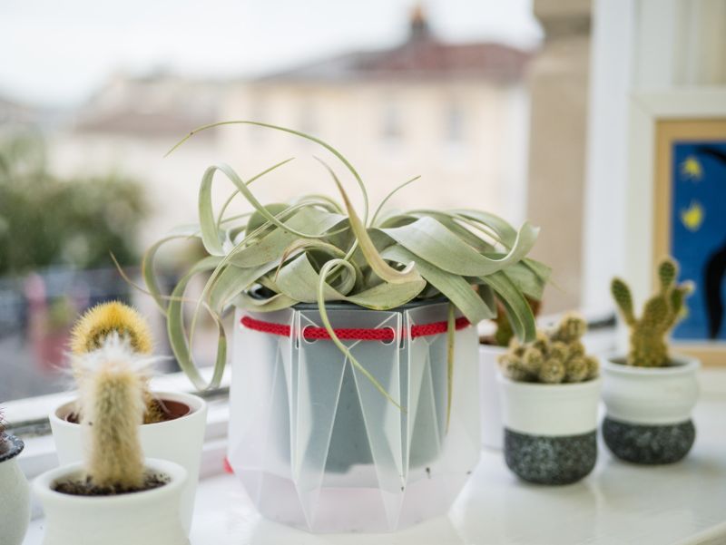 POTR Self-Watering Plant Pots Fit into an Envelope