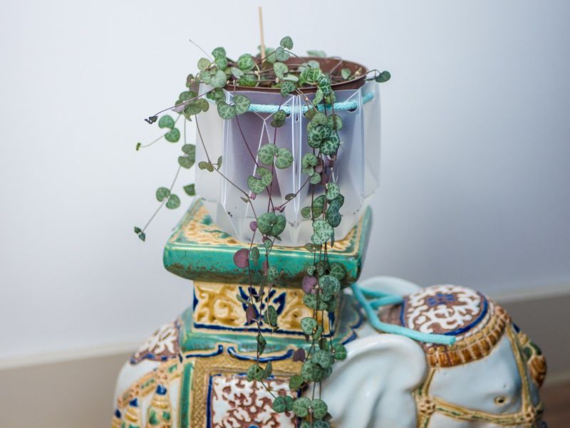 POTR Self-Watering Plant Pots Fit into an Envelope