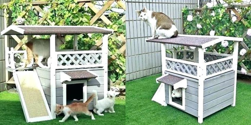 Petsfit Weatherproof Cat House