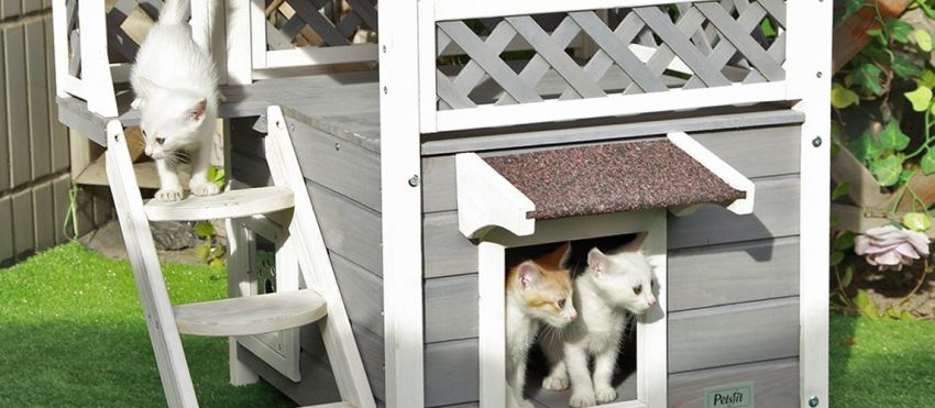 Petsfit Weatherproof Cat House