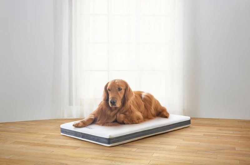 Airweave Dog Bed is Made from the Same Material its Mattresses Are 