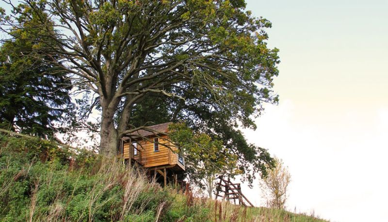 This Treehouse for Kids in Perthshire, UK Features a Slide, Climbing Wall and More 