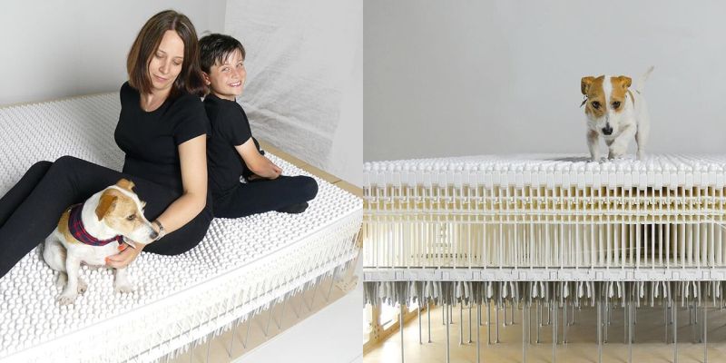 Ammique to launch first mattress-free bed of the world