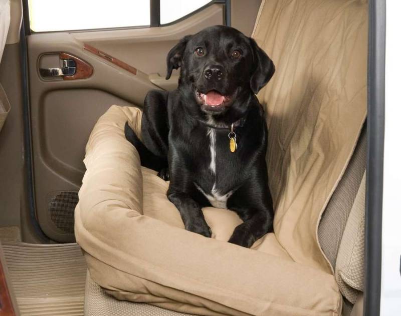 Dog seat for car