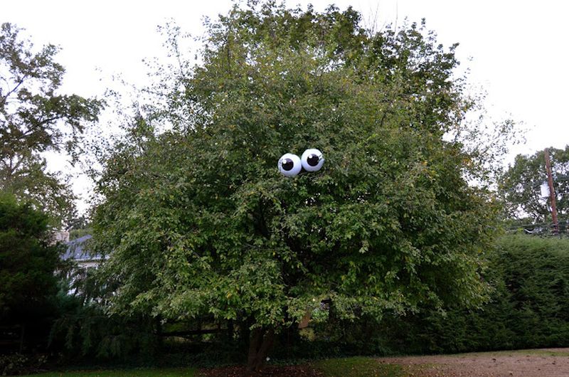 Ways to Spook up Your Garden Trees for All Hallows Eve
