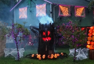 Ways to Spook up Your Garden Trees for All Hallows Eve