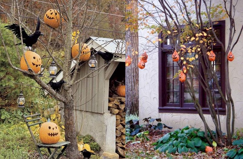 Ways to Spook up Your Garden Trees for All Hallows Eve