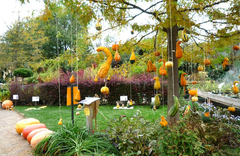 Ways to Spook up Your Garden Trees for All Hallows Eve