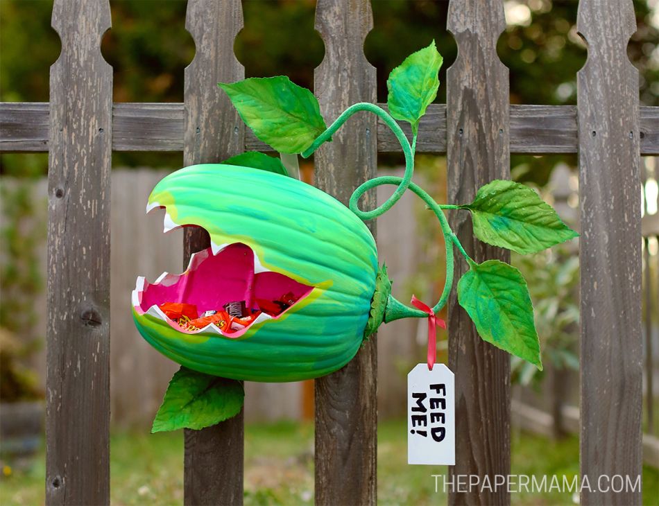 Venus Fly Trap Pumpkin Candy Holder to Hand out Candies this Halloween