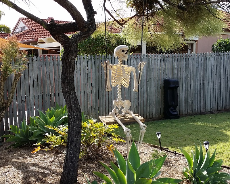 Ways to Spook up Your Garden Trees for All Hallows Eve