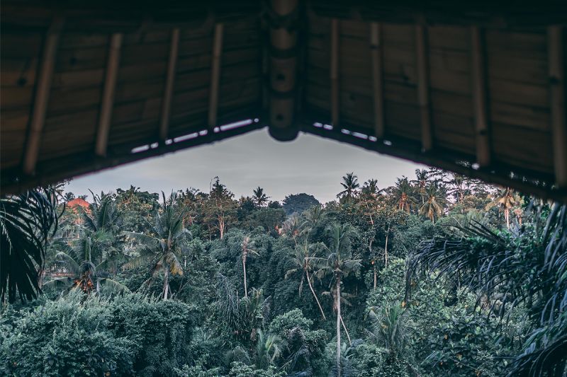 Eco-Friendly Aura House in Lush Green Balinese Forest is Available for Rent on Airbnb