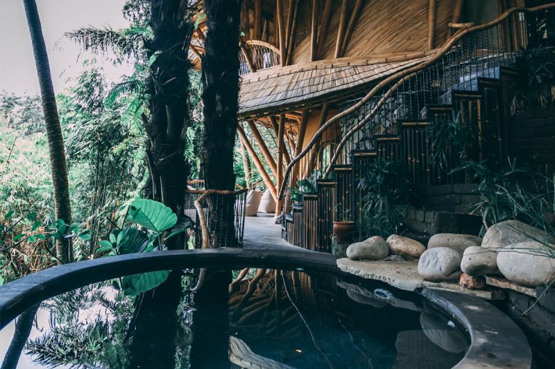Eco-Friendly Aura House in Lush Green Balinese Forest is Available for Rent on Airbnb