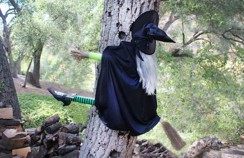 Ways to Spook up Your Garden Trees for All Hallows Eve