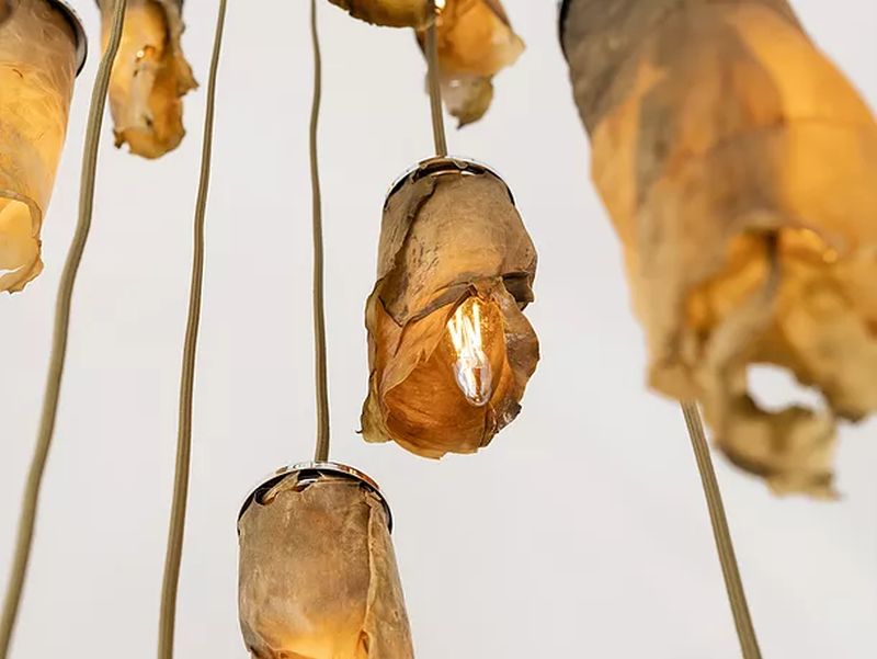 Algae Lamps Look Beautifully Molded Sculptures with Natural Shades