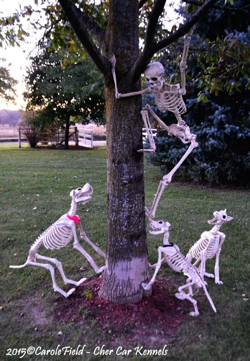 Halloween It s Time V8buick