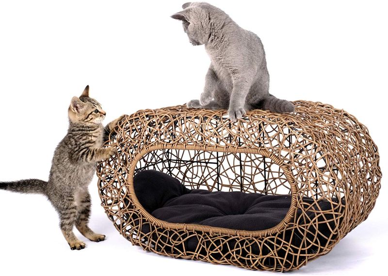 D+ Garden’s Wicker Cat House is All About Comfort and Class 