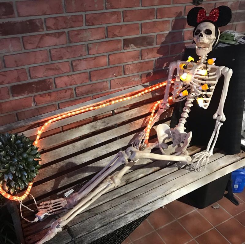 30+ Skeleton Halloween Decoration Ideas for Outdoors 