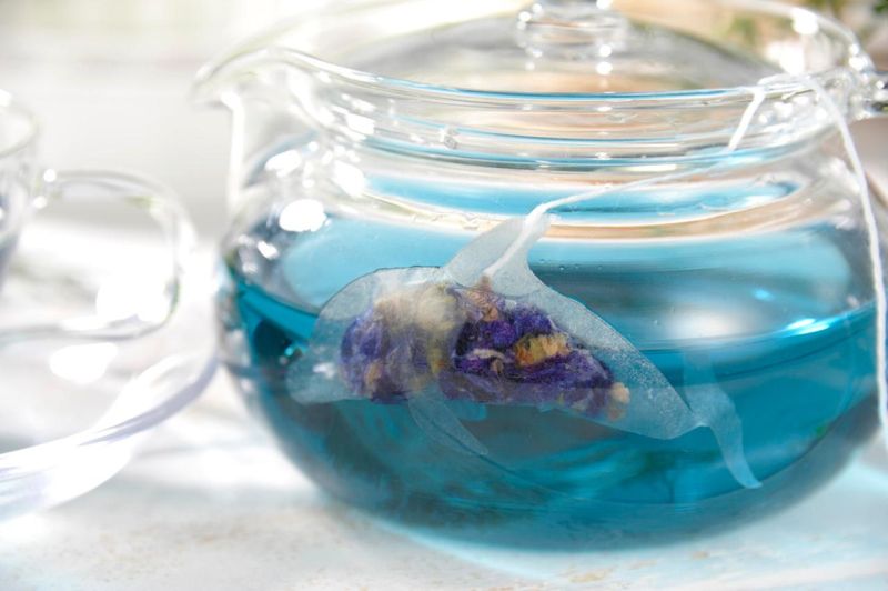 Ocean Teabags Brings Marine Life and Delicious Flavors to Your Teapot 