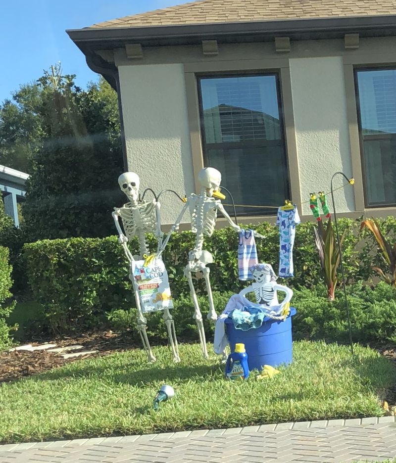 Top 5 funny skeleton yard display best - BSS news