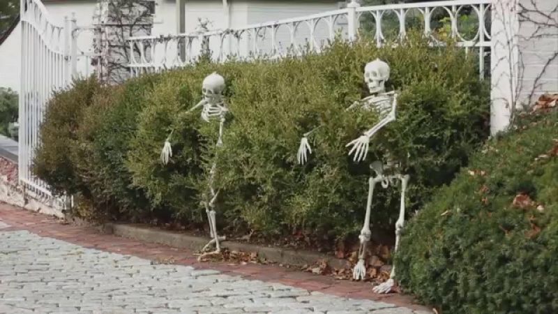 30+ Skeleton Halloween Decoration Ideas for Outdoors 