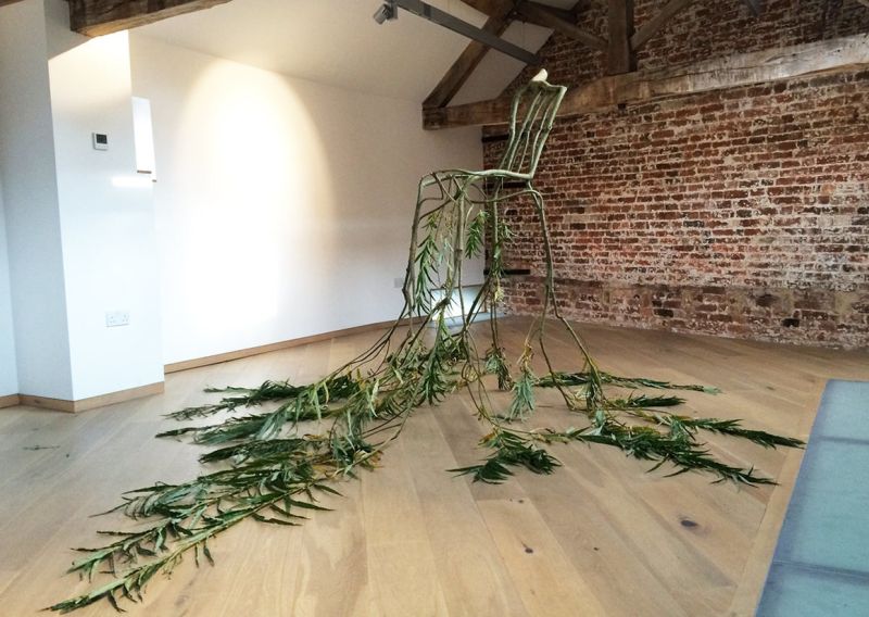 UK Couple Grows Furniture on Farm, Trains Trees to Grow Into Chairs