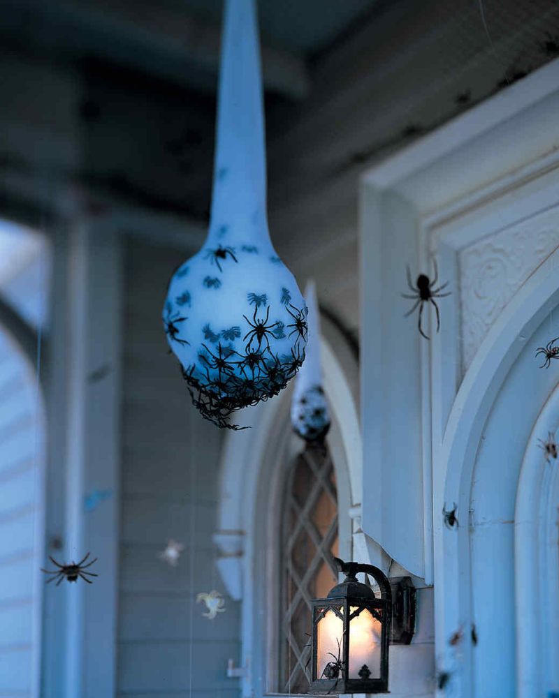 Spider egg sac hanging from ceiling  