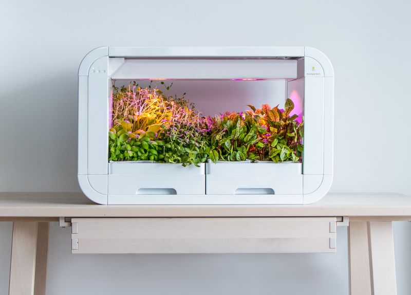 tinyFarm is Fully Automated Modular Mini-garden for Urban Dwellers