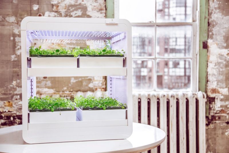 tinyFarm is Fully Automated Modular Mini-garden for Urban Dwellers