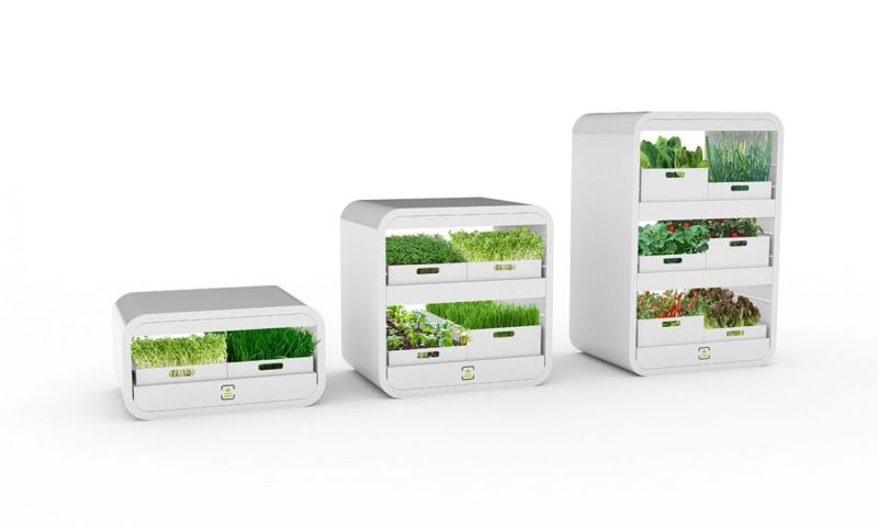 tinyFarm is Fully Automated Modular Mini-garden for Urban Dwellers