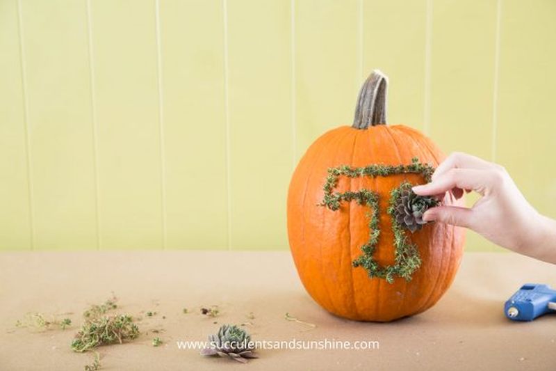 DIY Succulent Monogram Pumpkin Will Add Festive Vibes on Halloween