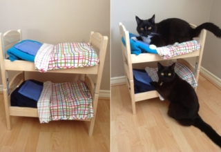 DIYer Transforms DUKTIG Doll Beds into Cat Bunk Bed