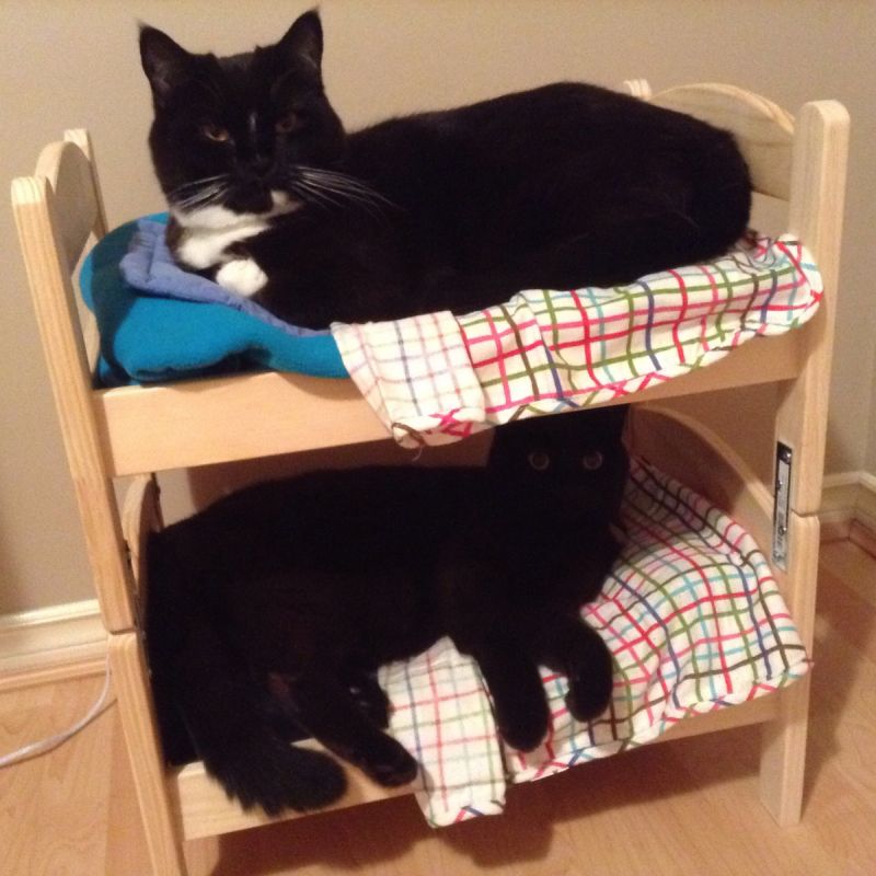 DIYer Transforms DUKTIG Doll Beds into Cat Bunk Bed 