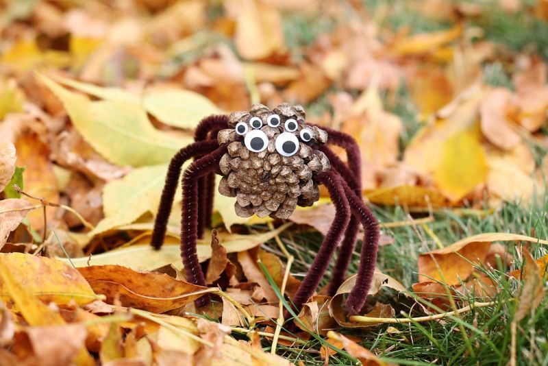 Pinecone spiders for Halloween 