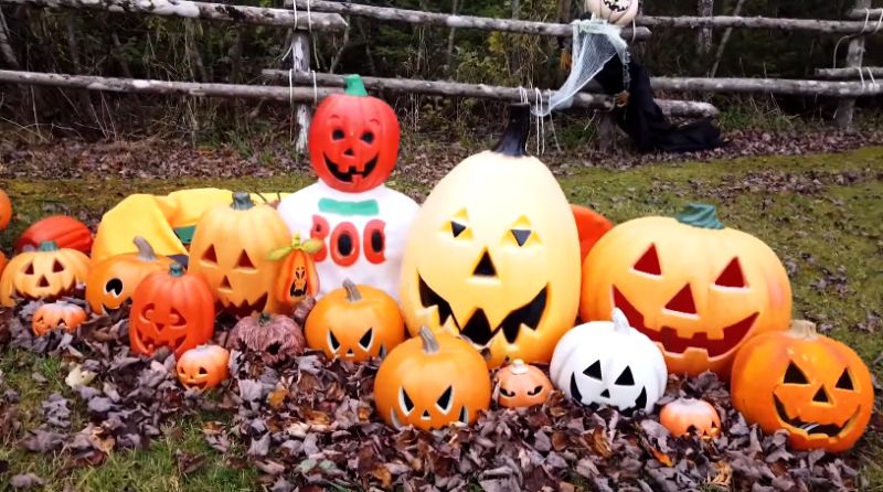 Spooktacular Halloween Display at Wellington House