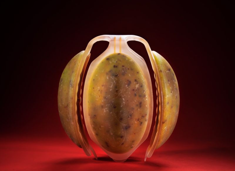 Student Designs Futuristic Neo Fruits Using 4D Printers