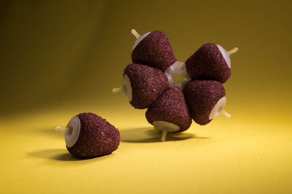 Student Designs Futuristic Neo Fruits Using 4D Printers