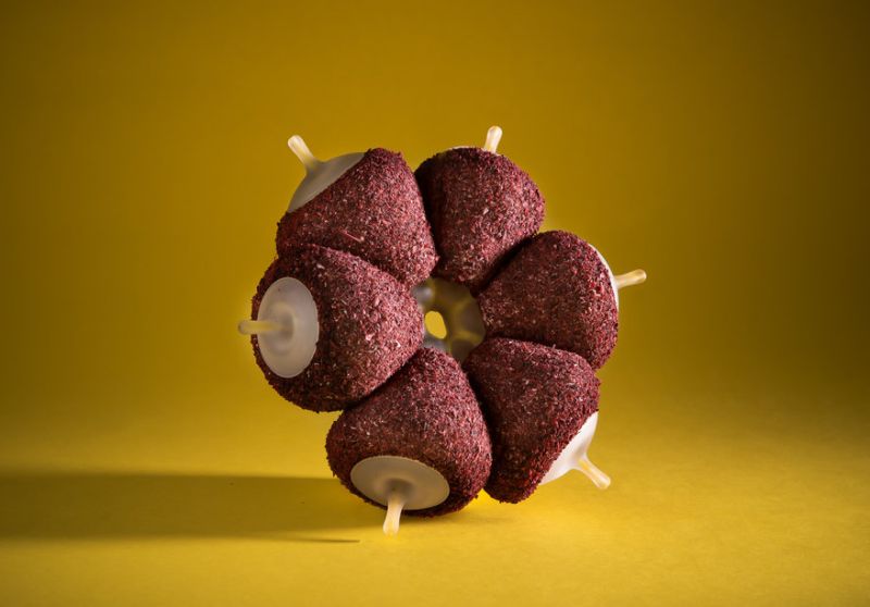 Student Designs Futuristic Neo Fruits Using 4D Printers